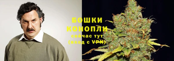 тгк Медвежьегорск