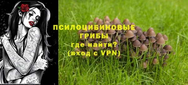 тгк Медвежьегорск
