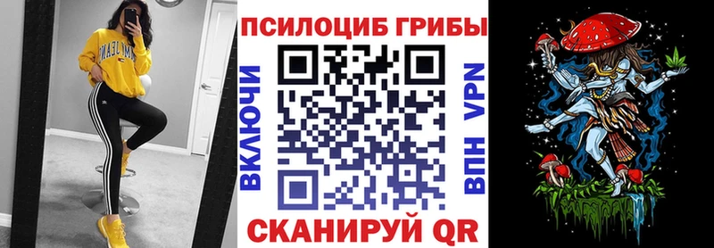 хочу   Бикин  Галлюциногенные грибы Psilocybine cubensis 