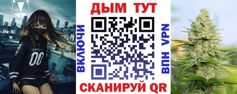 где купить   ОМГ ОМГ   Бошки Шишки ГИДРОПОН  Бикин 